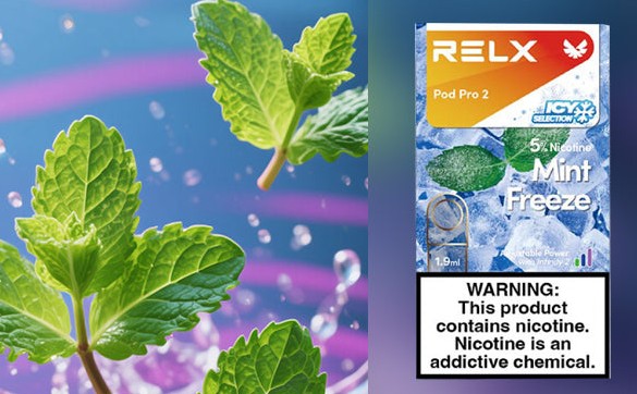 【老玩家推薦】在蝦皮找魅嗨主機？最便宜的購買管道大公開