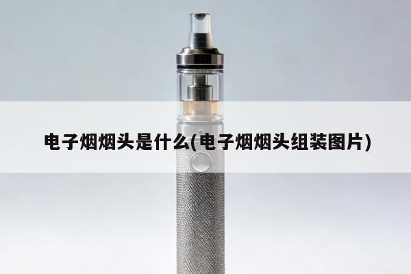 電子煙煙頭是什麼(電子煙煙頭組裝圖片)