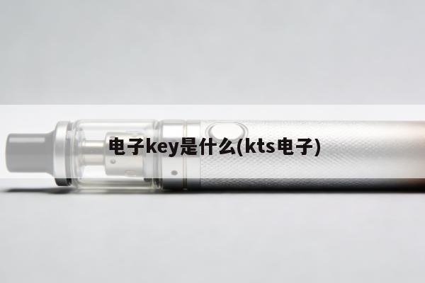 電子key是什麼(kts電子)